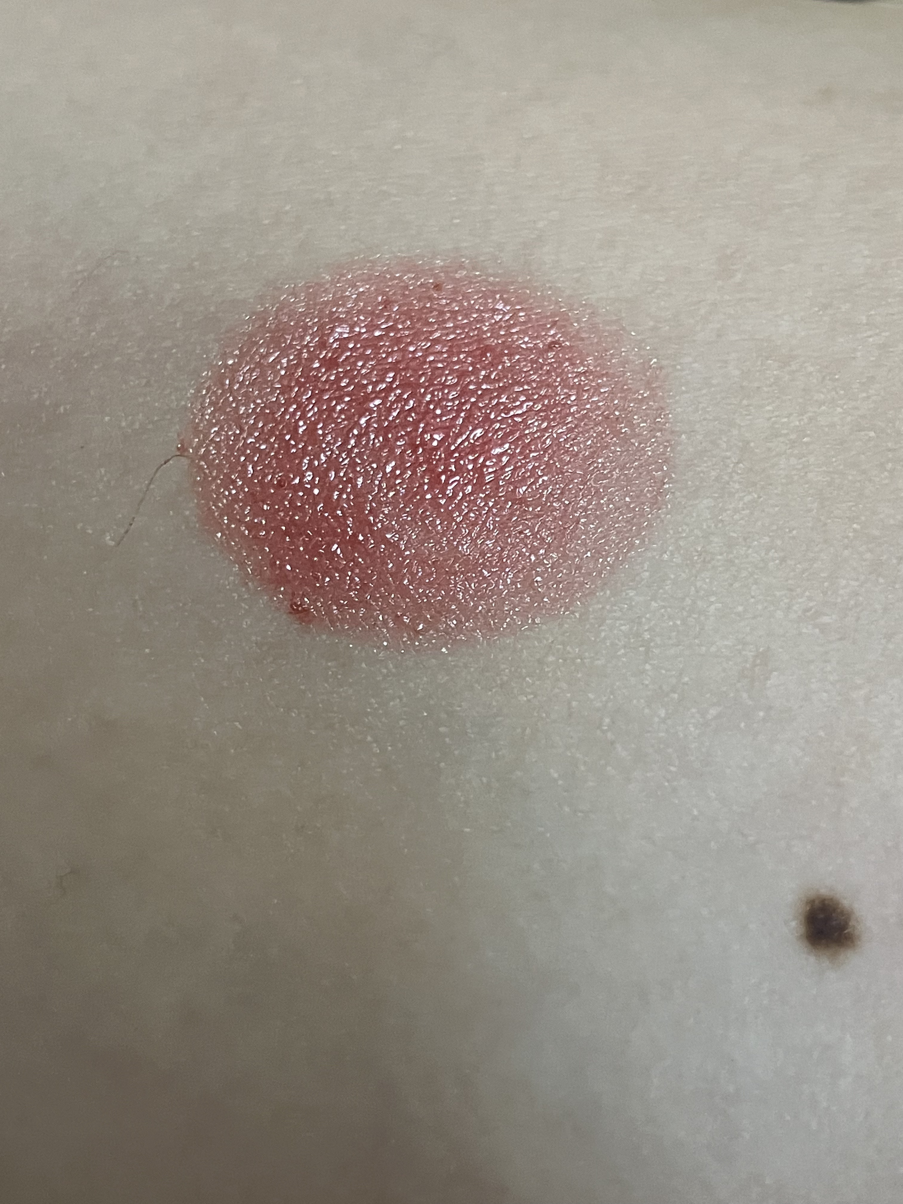 ステイオンバームルージュ 13 ミルキーアリッサム/キャンメイク/口紅を使ったクチコミ（2枚目）