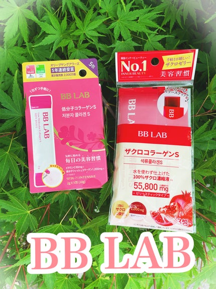 低分子コラーゲン/BB LAB/美容サプリメントを使ったクチコミ(9枚目)
