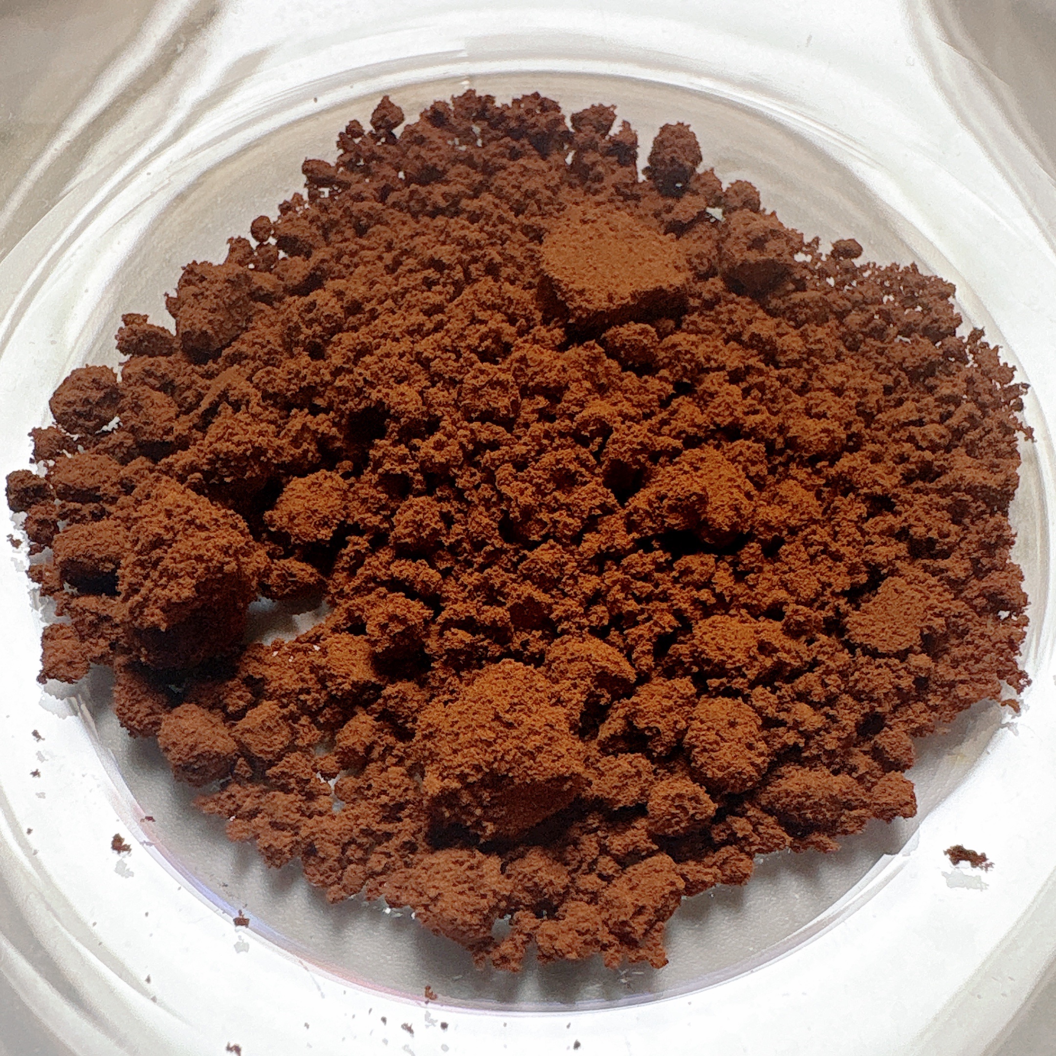 黒豆茶/&WELL/その他を使ったクチコミ（3枚目）