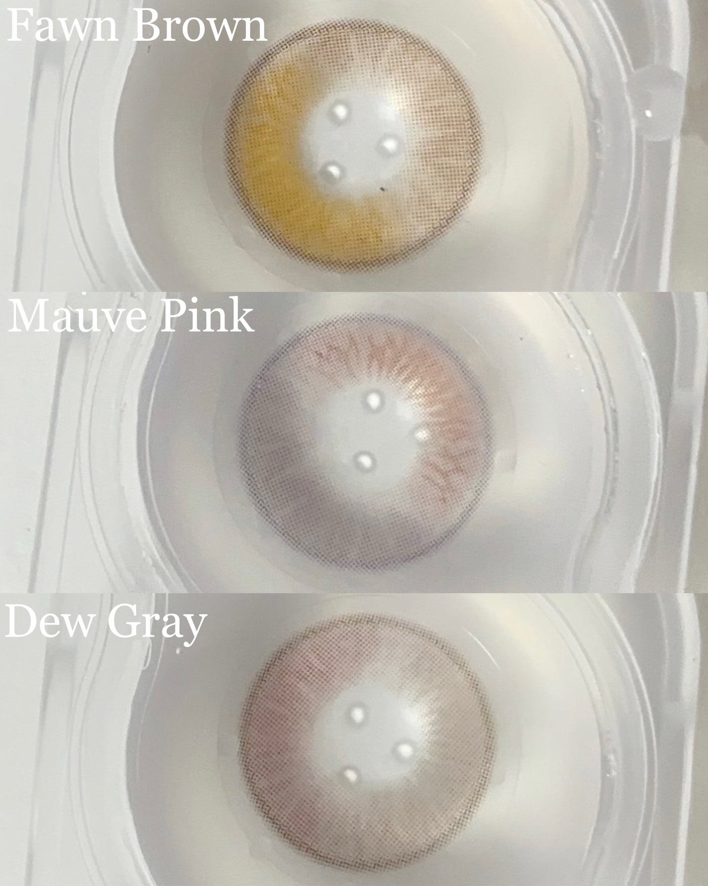 Moonrise 1day/OLENS/ワンデー(1DAY)カラコンを使ったクチコミ(2枚目)