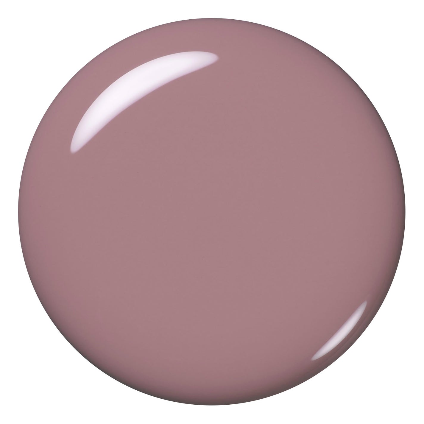 エクシア ヴェルニ 26