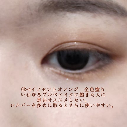 ニュアンス デューイ クリエイター/Visée/アイシャドウパレットを使ったクチコミ(8枚目)