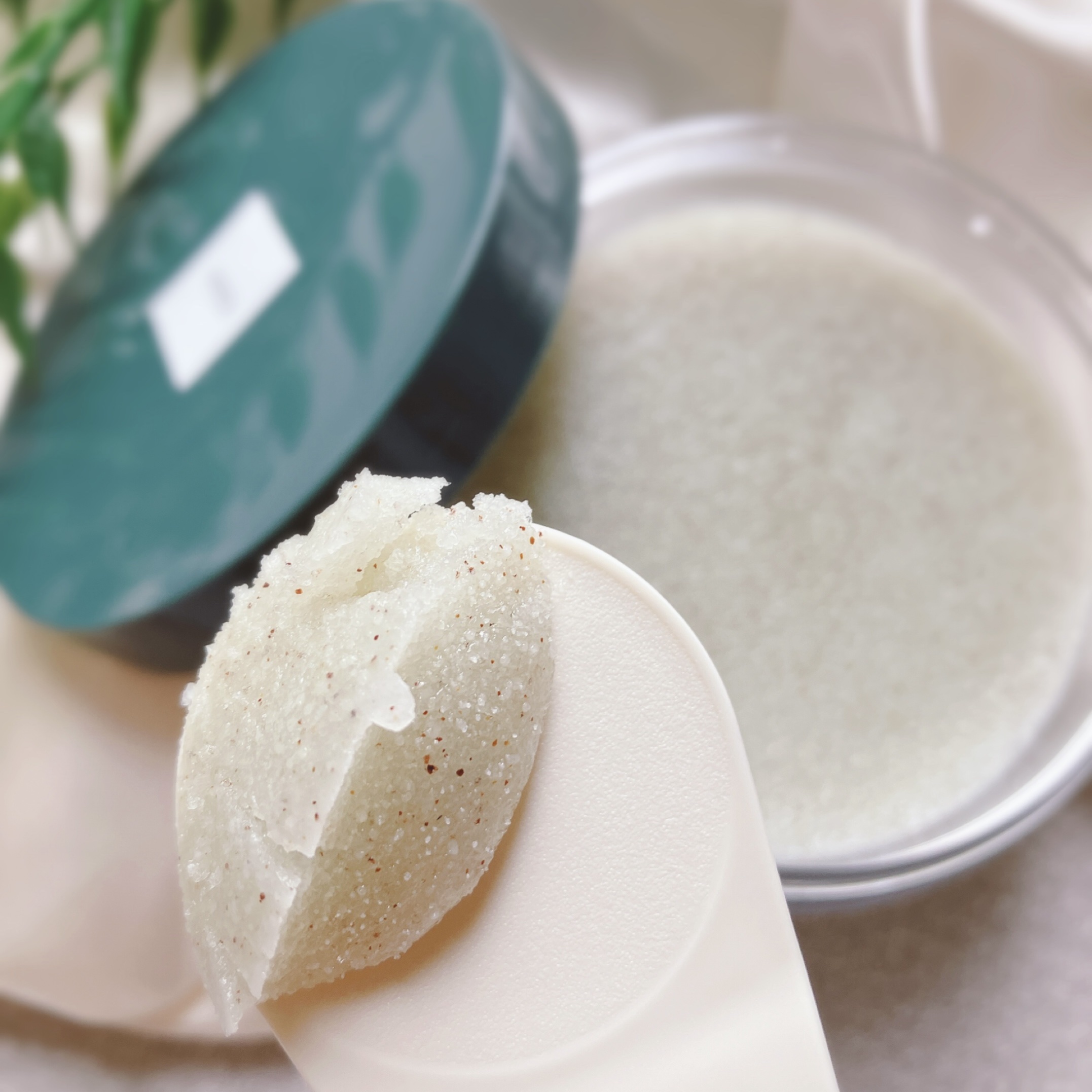 ボディスクラブ ブラッシャー クリア/アーレス/ボディスクラブを使ったクチコミ（3枚目）