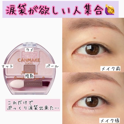 プランぷくコーデアイズNeo/キャンメイク/アイシャドウを使ったクチコミ(1枚目)