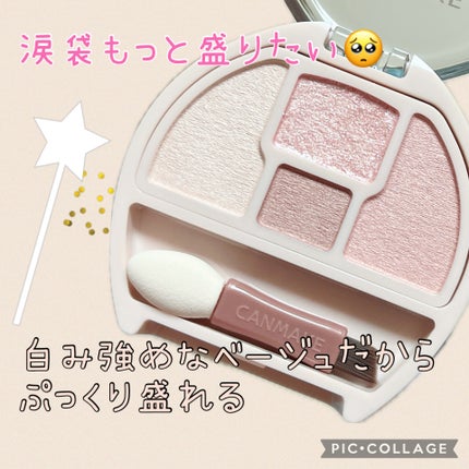 プランぷくコーデアイズNeo/キャンメイク/アイシャドウを使ったクチコミ(1枚目)