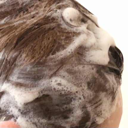 ヘマチン ブースター シャンプー /トリートメント ペアー&ムスクの香り/マイブースターズ/市販シャンプーを使ったクチコミ(5枚目)