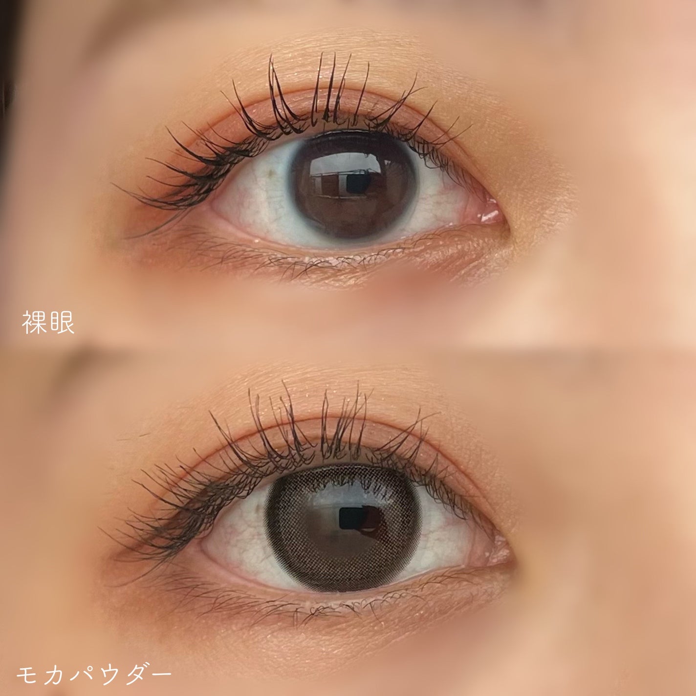 melloew 1day/melloew/ワンデー(1DAY)カラコンを使ったクチコミ(5枚目)