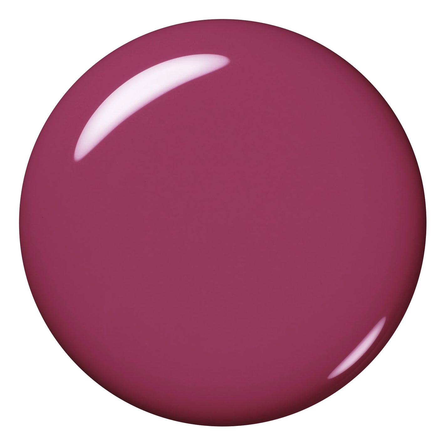 エクシア ヴェルニ 25