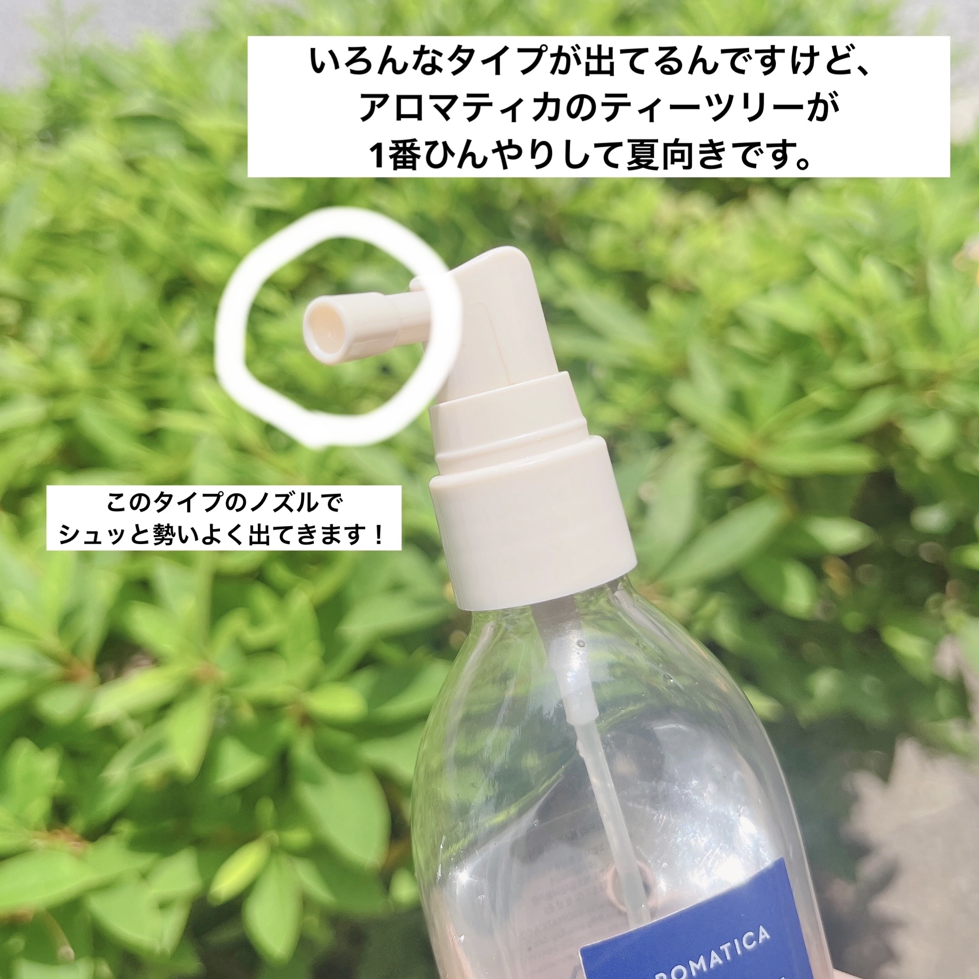 ティーツリーピュリファイングトニック/AROMATICA/頭皮ローションを使ったクチコミ（2枚目）