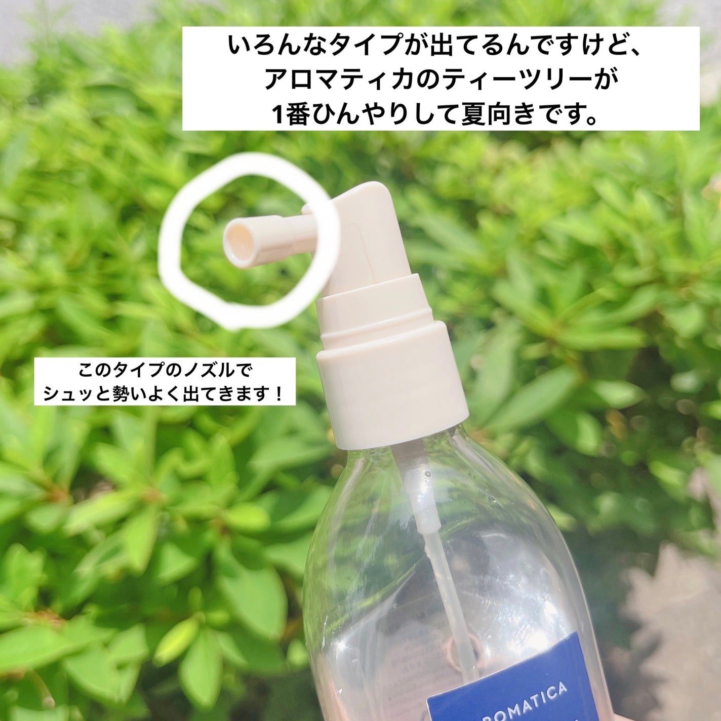 ティーツリーピュリファイングトニック/AROMATICA/頭皮ローションを使ったクチコミ(2枚目)