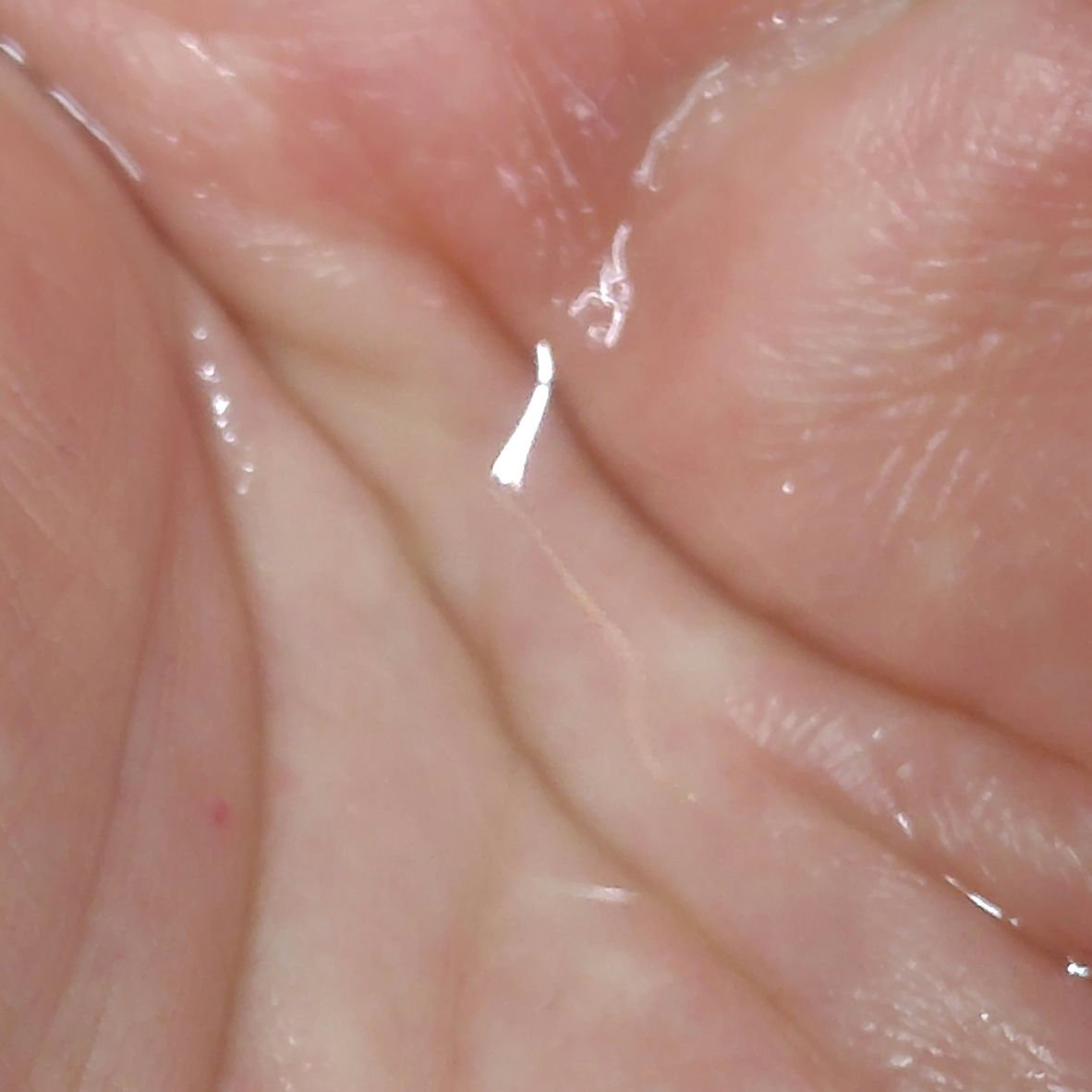 エリクシール　ザ セラム aa（医薬部外品）/エリクシール/美容液を使ったクチコミ（3枚目）