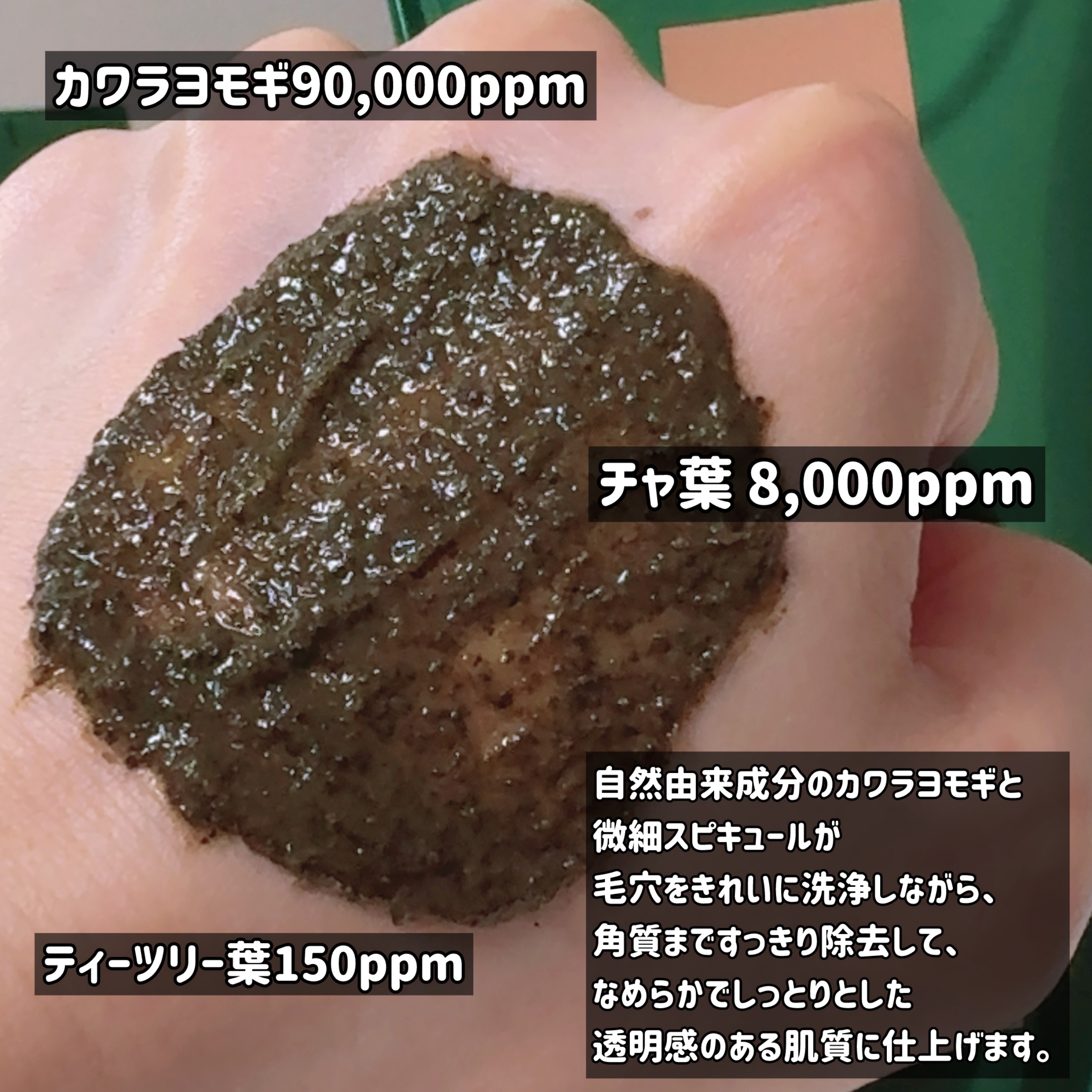 ティーツリーハーブピーリングパック/WellDerma/洗い流すパック・マスクを使ったクチコミ（3枚目）