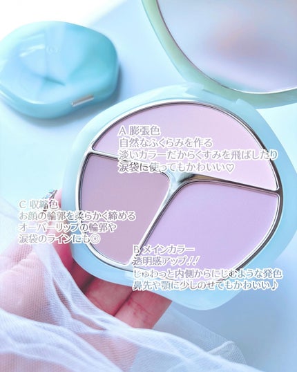 TIMAGE  3色チークパレット/TIMAGE/パウダーチークを使ったクチコミ(2枚目)