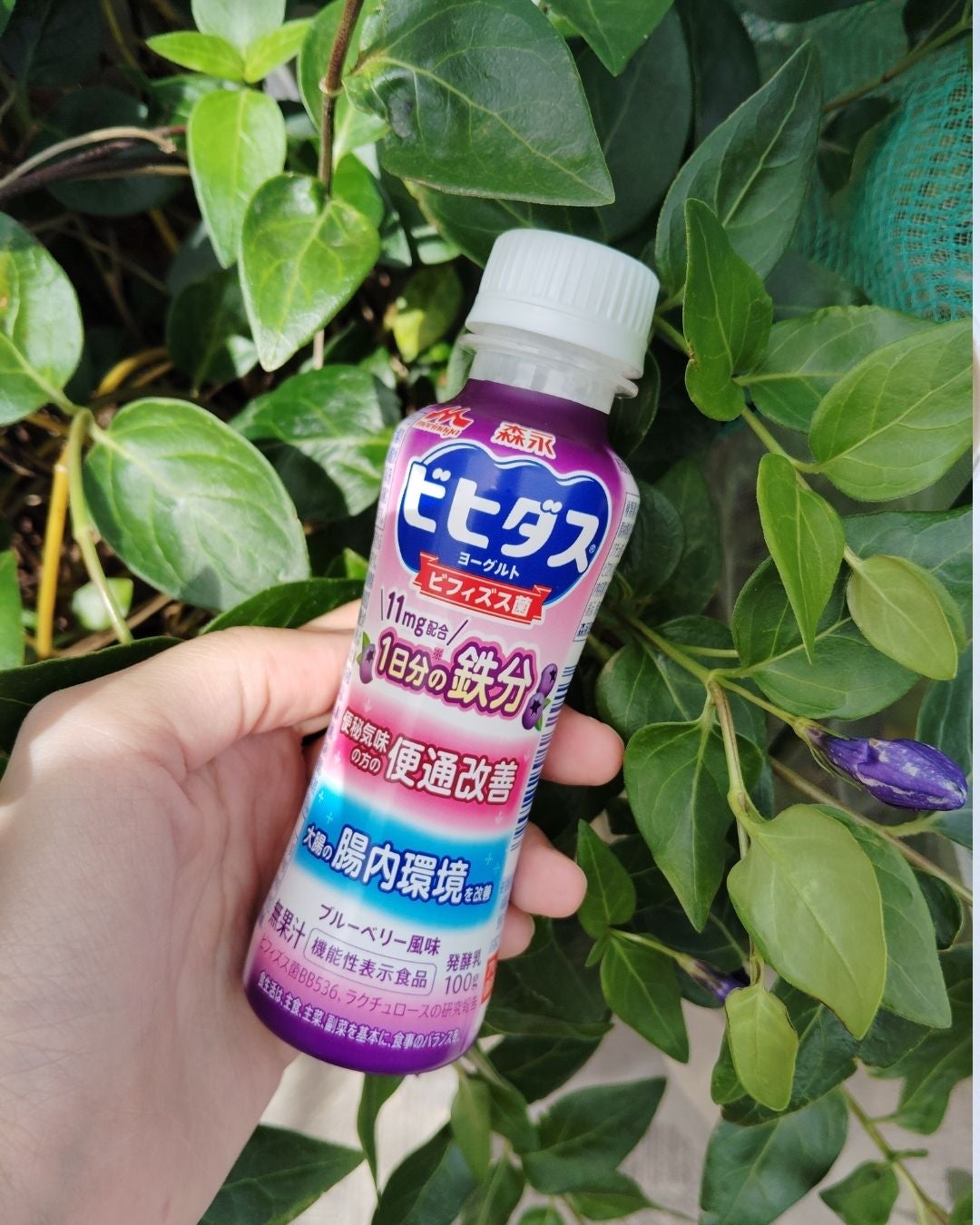 レフれな on LIPS 「\朝の新習慣にぴったり🌿/森永乳業さんの「ビヒダスヨーグルト便..」(1枚目)