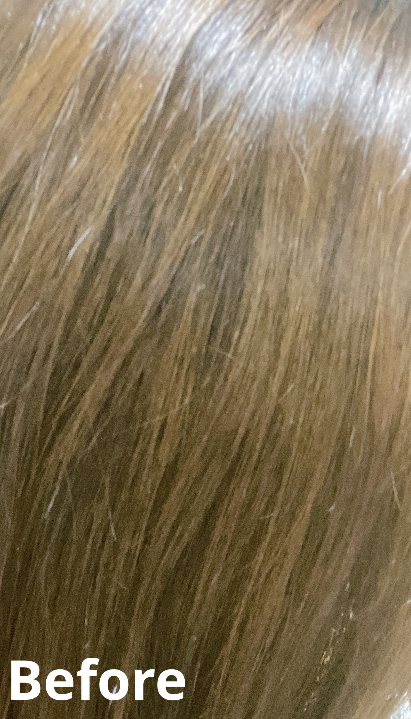 泡カラー/リーゼ/ヘアカラーを使ったクチコミ（3枚目）