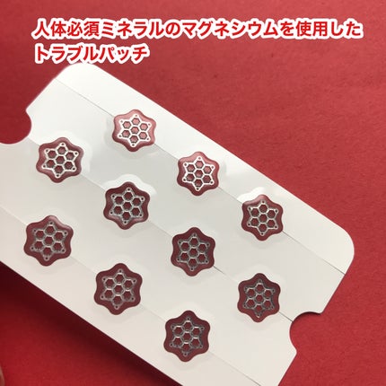 ACマグネシウムパッチ/スノーツープラス/シートマスク・パックを使ったクチコミ(2枚目)