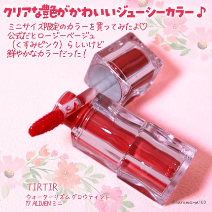 ウォーターリズムグロウティント 17 ALIVEN(ミニ)/TIRTIR(ティルティル)/リップティントの画像