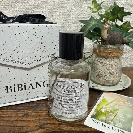 オードパルファム/BiBiANG/香水(レディース)を使ったクチコミ(1枚目)
