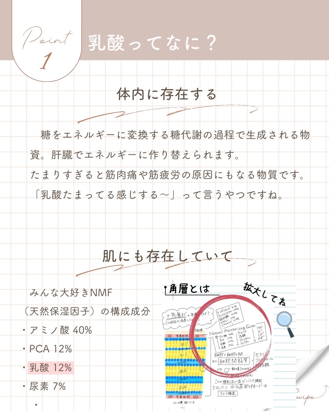 elan_lotus on LIPS 「乳酸/Lacticacid【乳酸ってなに?】⚫︎体内に存在する..」(2枚目)