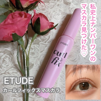 カールフィックスマスカラ/ETUDE/マスカラを使ったクチコミ(1枚目)