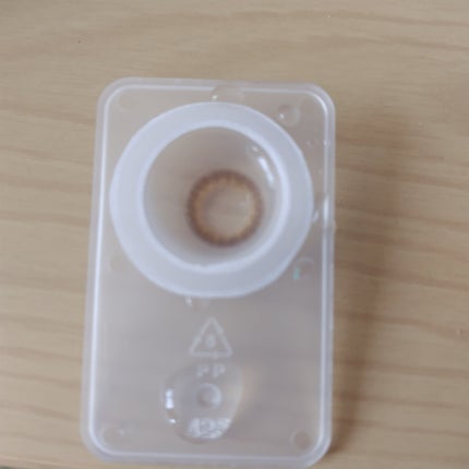 TOPARDS 1month ガーネット/TOPARDS/1ヶ月(1MONTH)カラコンの画像