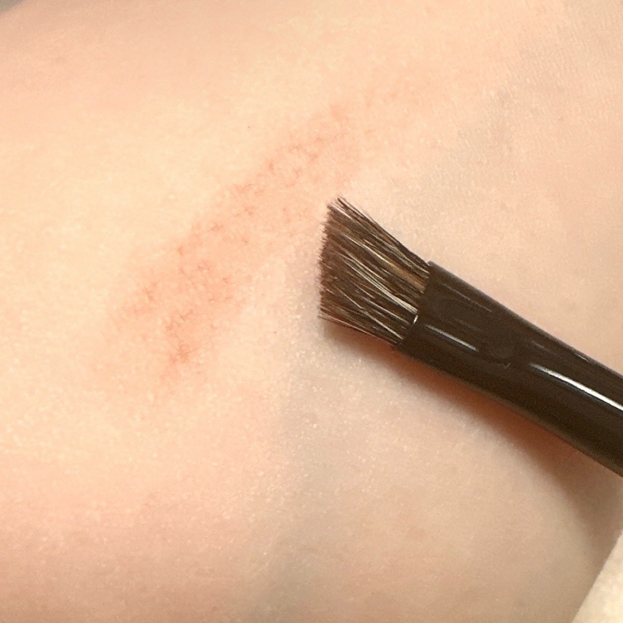 ブロー&ラインブラシ/シュエトゥールズ/メイクブラシを使ったクチコミ(5枚目)