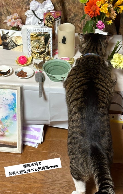 ðç«å¥œããã«ã³ðæ°ãŸãããŒã¡ãŒã¡æçš¿ðŸé »åºŠäžãããŸãðŠ on LIPS ããããããããããããããã...ãããããïŒæ24æ¥ã®ä»æ¥ã..ãïŒ5æç®ïŒ