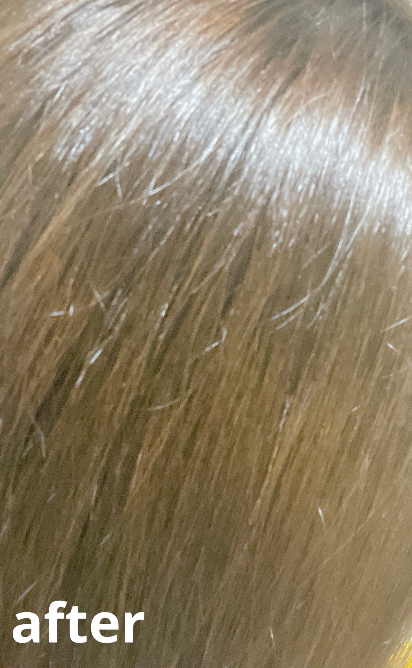 泡カラー/リーゼ/ヘアカラーを使ったクチコミ(4枚目)