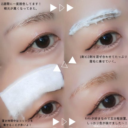 ワンユーズブロウブリーチ/ENTROPY/その他アイブロウを使ったクチコミ(3枚目)