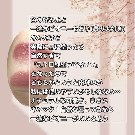 ネンマクフェイク ルージュ/Visée/口紅を使ったクチコミ(3枚目)