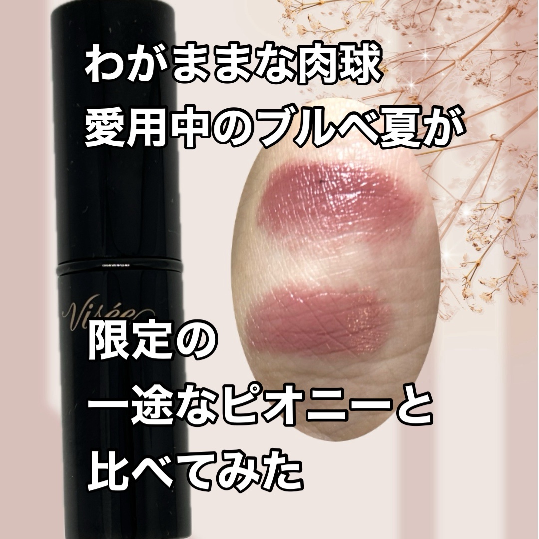 ネンマクフェイク ルージュ/Visée/口紅を使ったクチコミ（1枚目）