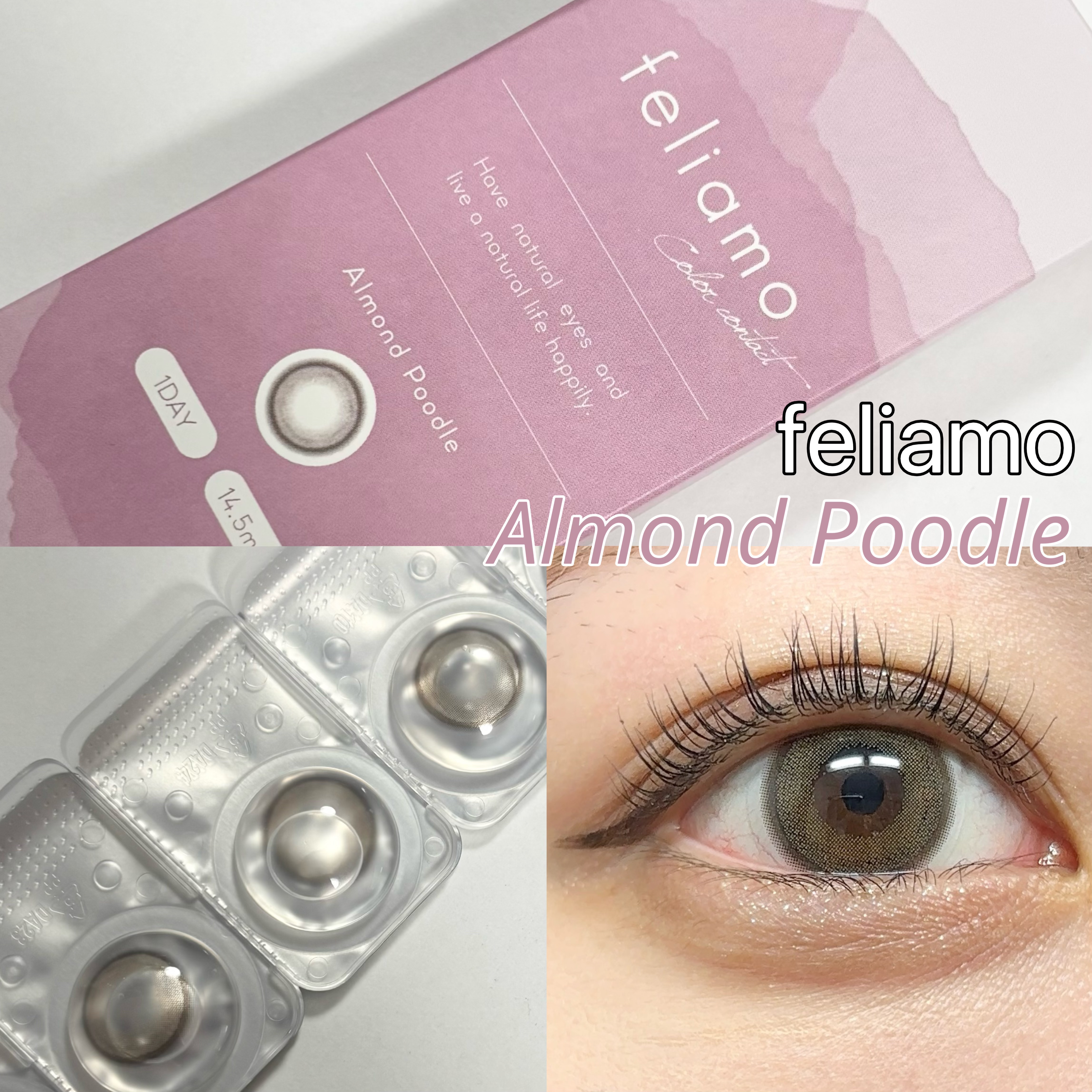 feliamo様よりいただきました！

まいやんがイメージモデルを務めるカラコン｢feliamo｣から4月に出た最新色の1つ、アーモンドプードルをレビューします🫶

feliamo 1day
アーモンドプードル
¥1,760

DIA14