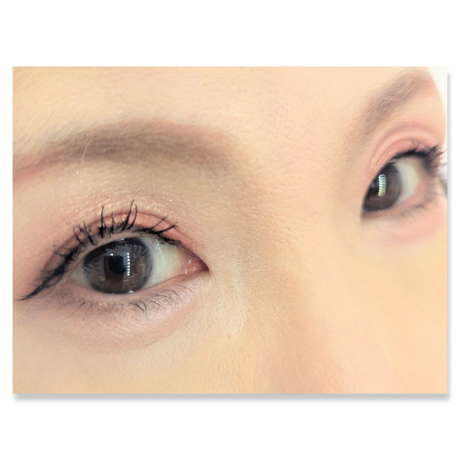 アイカラーパレット/heme/アイシャドウパレットを使ったクチコミ（2枚目）