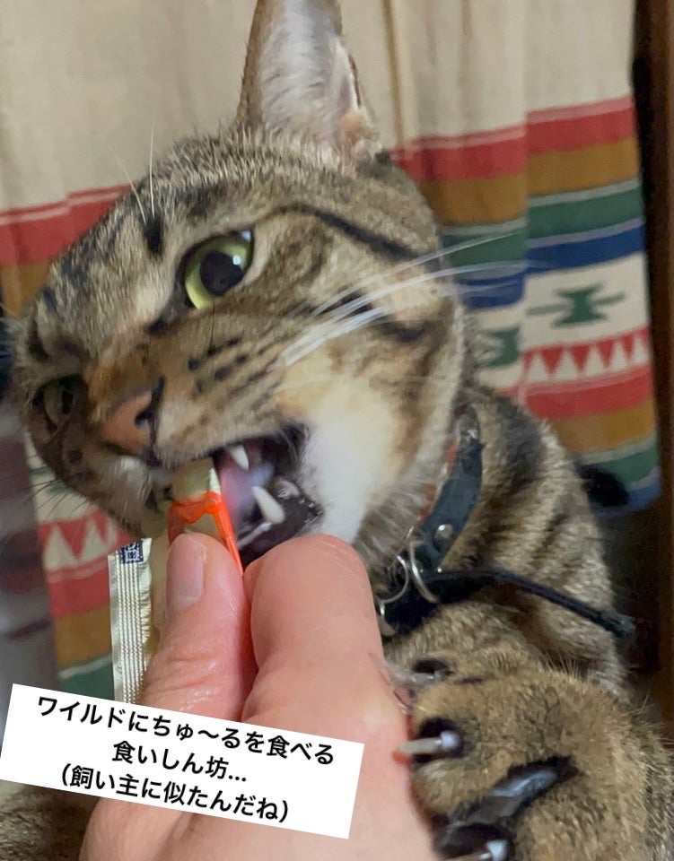 ðç«å¥œããã«ã³ðæ°ãŸãããŒã¡ãŒã¡æçš¿ðŸé »åºŠäžãããŸãðŠ on LIPS ããããããããããããããã...ãããããïŒæ24æ¥ã®ä»æ¥ã..ãïŒ4æç®ïŒ