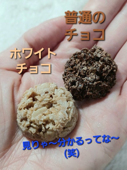 オートミールチョコ/ボウドルチェ/バランス栄養食を使ったクチコミ(3枚目)