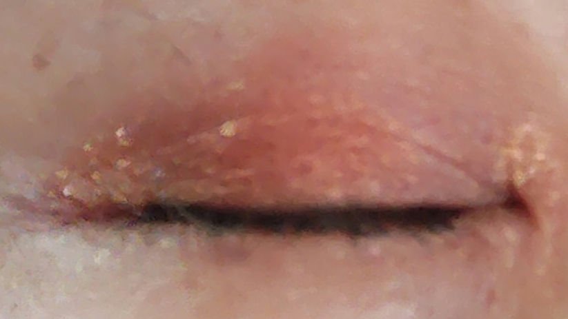 ラッシュエキスパンダー ロングロングロング ＥＸ （フローティング）/MAJOLICA MAJORCA/マスカラを使ったクチコミ（2枚目）