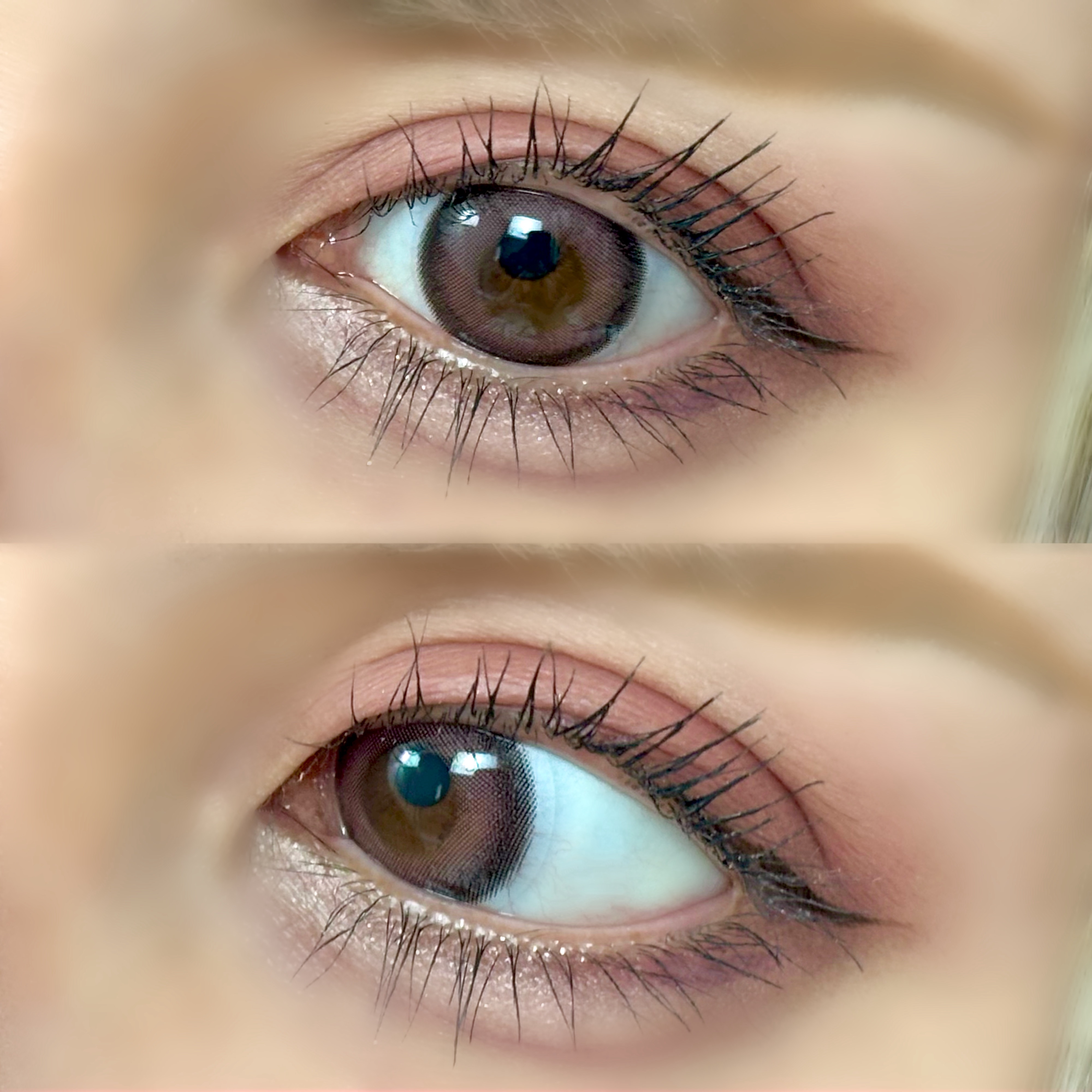 Charton 1day/Charton/ワンデー（１DAY）カラコンを使ったクチコミ（3枚目）