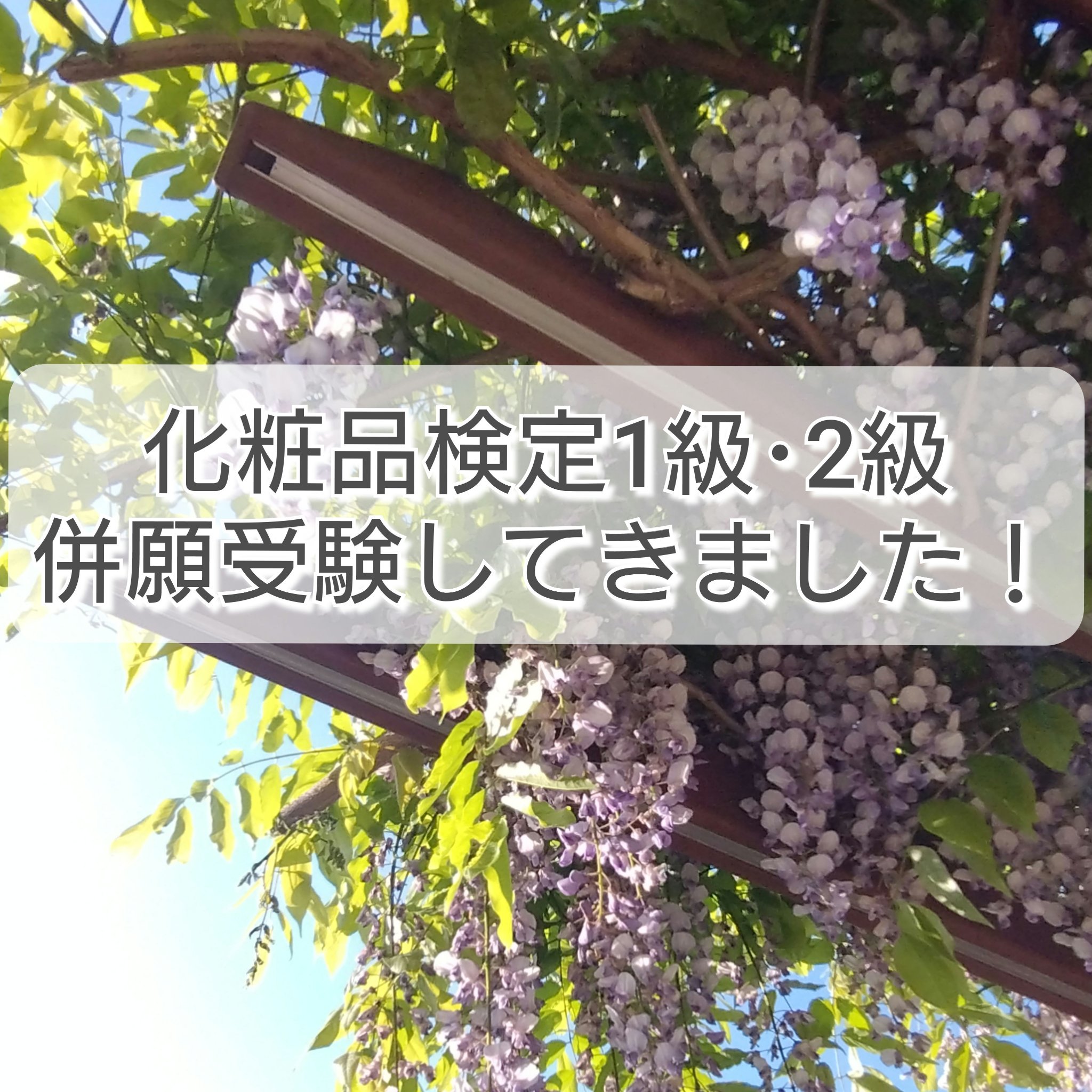今日は日本化粧品検定試験日でした！

旧テキストの範囲で受験できるのは一般では最後のチャンス！ という情報をメールで知り、テキスト買ってあったので急いで勉強しました。
結構読み込んでいったつもりでしたが難しい問題もあって悩みました！
受験し