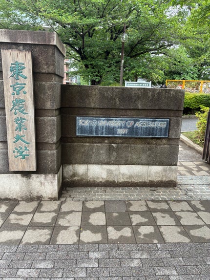 ã䜿ã£ãã¯ãã³ãïŒ1æç®ïŒ