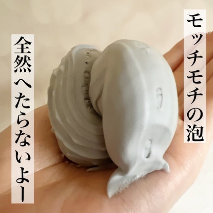 ディズム クリーミーフォームウォッシュ ブラック/DISM/泡洗顔を使ったクチコミ(3枚目)