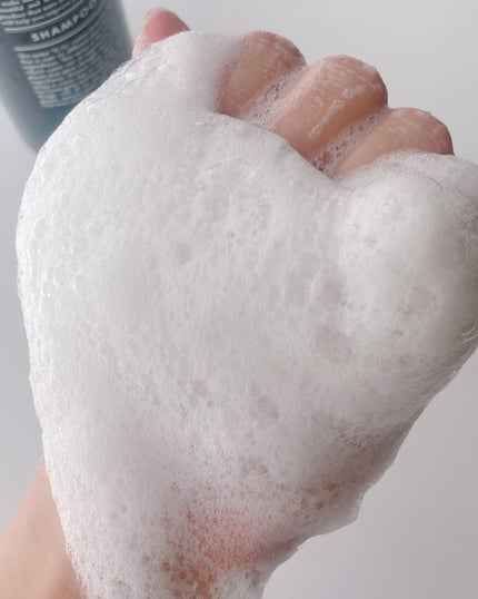 R-21 シャンプー/トリートメント エクストラ/サンコール/サロンシャンプーを使ったクチコミ(5枚目)