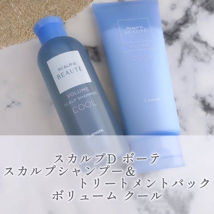 スカルプD ボーテ スカルプシャンプー/トリートメントパック ボリューム クール/アンファー(スカルプD)/市販シャンプーを使ったクチコミ(1枚目)