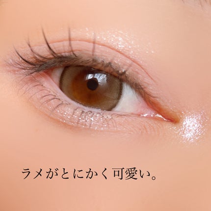 シェルズジュエルコレクション 6色アイシャドウパレット/FlowerKnows/アイシャドウパレットを使ったクチコミ(9枚目)