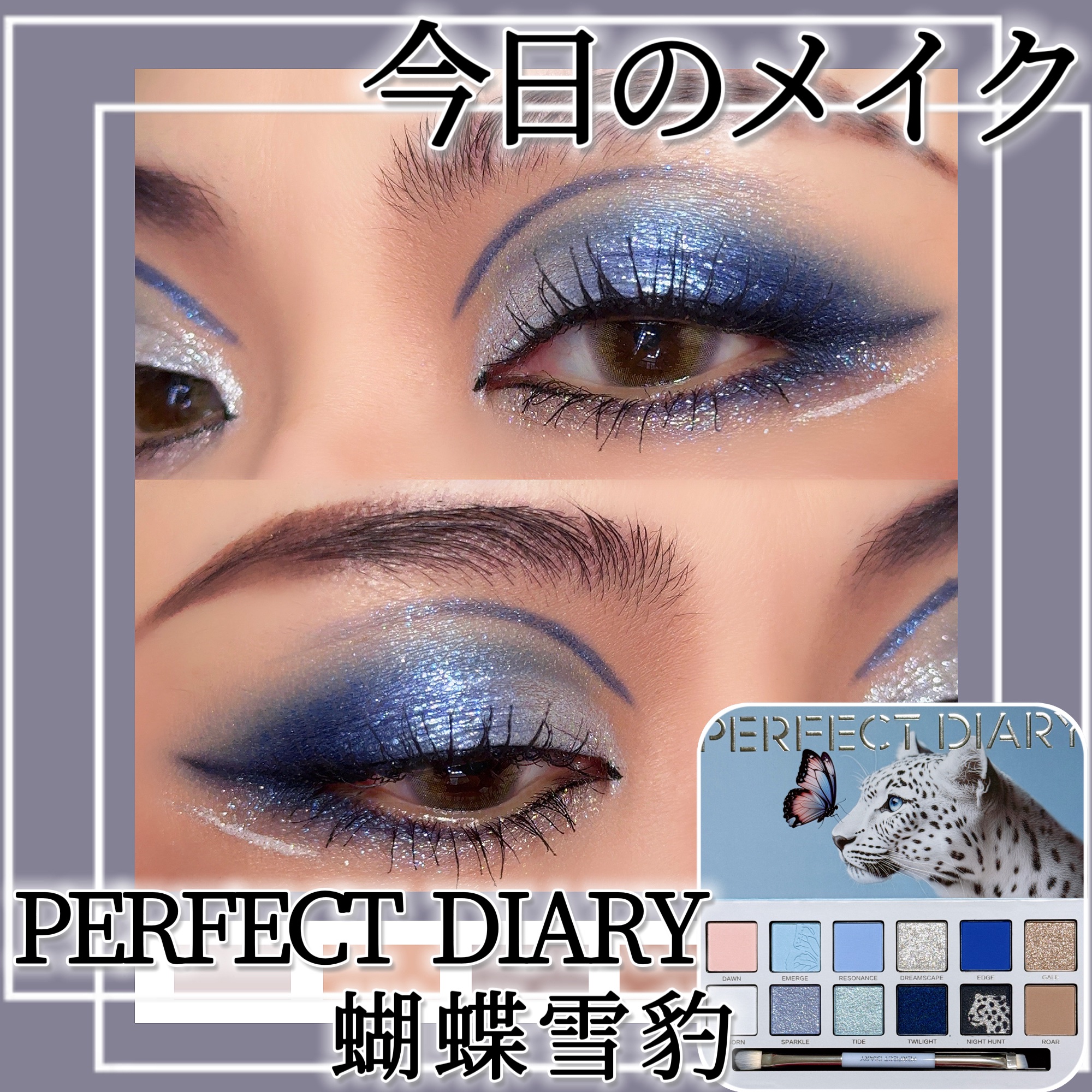エクスプローラ12色 動物アイシャドウパレット/PERFECT DIARY/アイシャドウパレットを使ったクチコミ（1枚目）