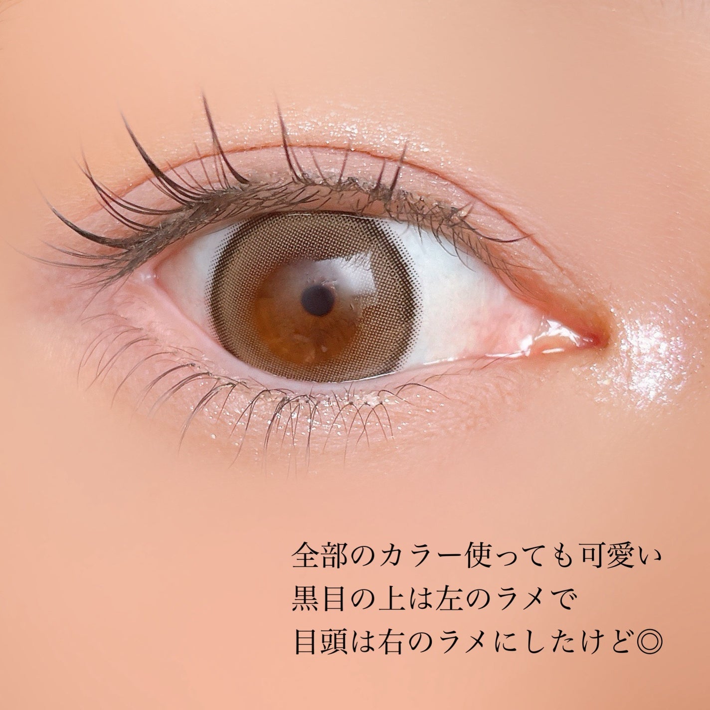 シェルズジュエルコレクション 6色アイシャドウパレット/FlowerKnows/アイシャドウパレットを使ったクチコミ(8枚目)