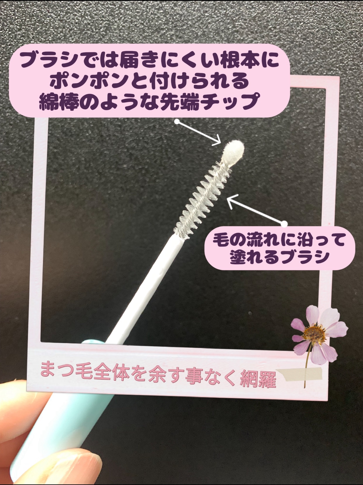 アイラッシュセラム/Bio Lucia(ビオルチア)/まつげ美容液を使ったクチコミ（2枚目）