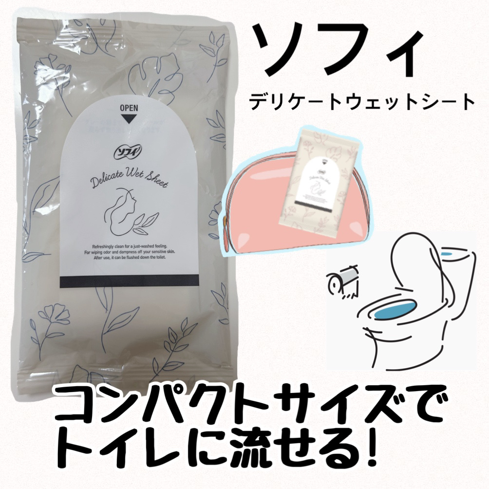 ソフィ デリケートウェットシート 無香料/ソフィ/デリケートゾーンケアを使ったクチコミ（1枚目）