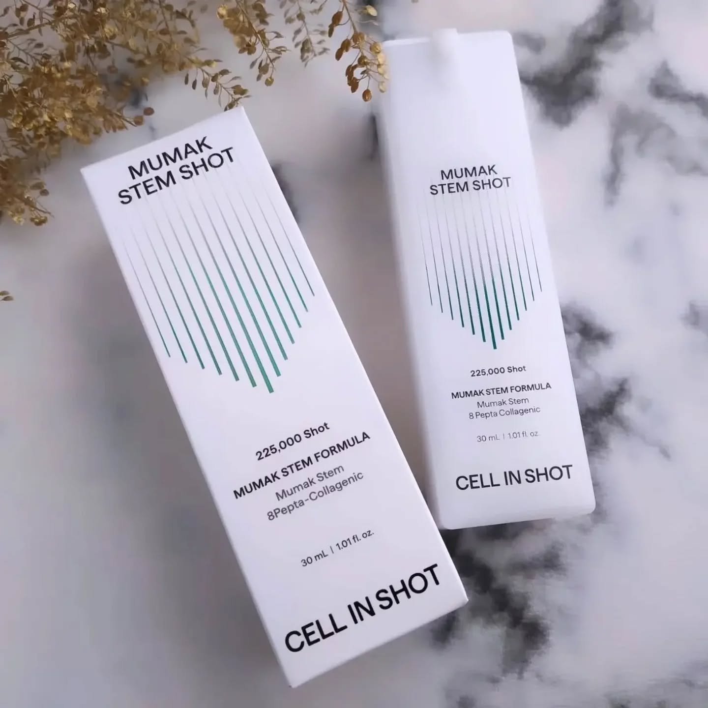 無膜ステムショット/CELLINSHOT/美容液を使ったクチコミ（2枚目）