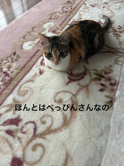 ðââ¬ã«ãããðŸ on LIPS ãå
šåã§å¯ãŠãã¡ã³ã«ãããã¶ã坿ãð€£Ê·Ê·ï»¿..ãïŒ6æç®ïŒ