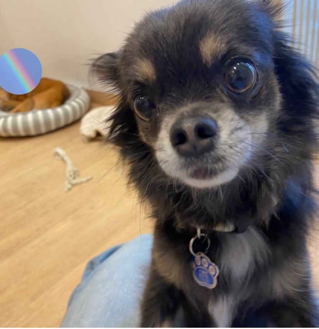 ひふみレイキ💫フォロバ♾️ on LIPS 「見てみて〜💕娘から届いたファミリーLINE「ひふみが居たから買..」(3枚目)